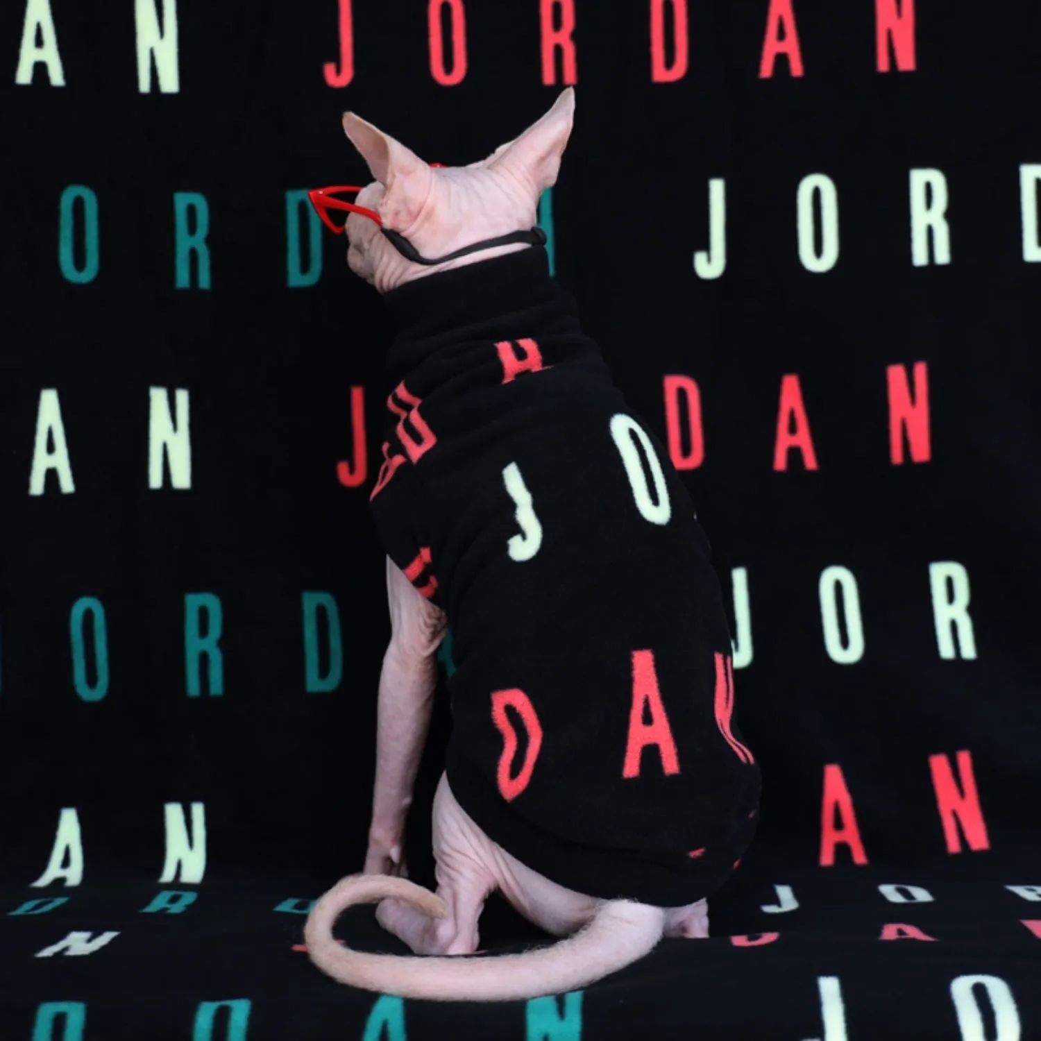 Jordan Sphynx Cut Out Top