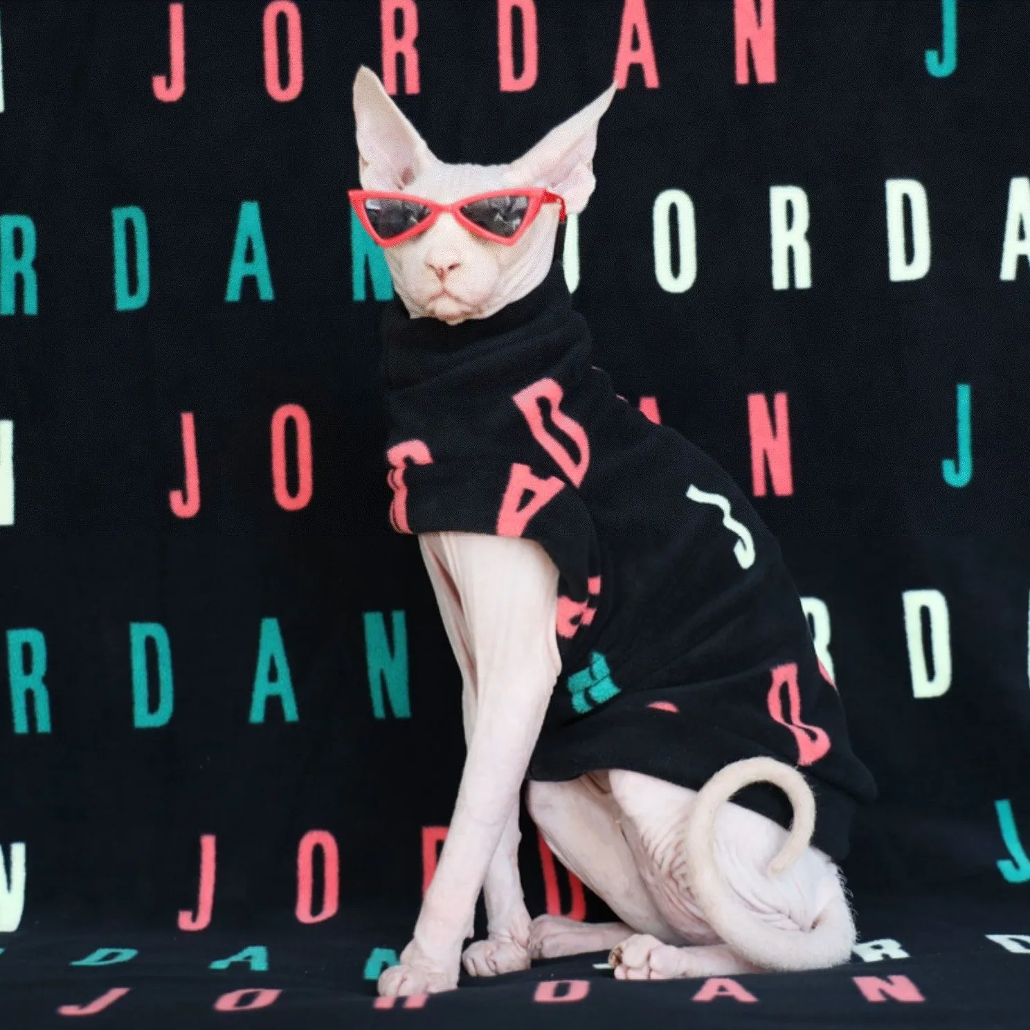 Jordan Sphynx Cut Out Top