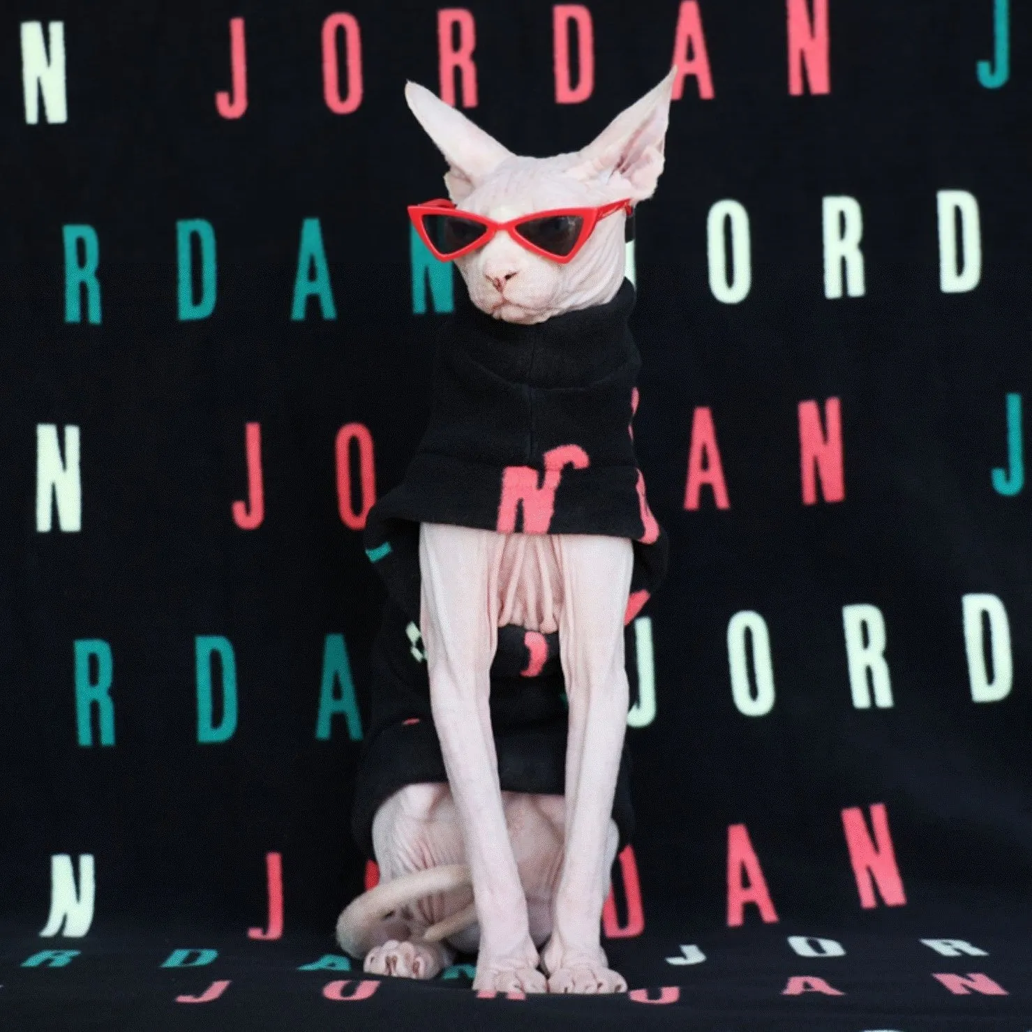 Jordan Sphynx Cut Out Top