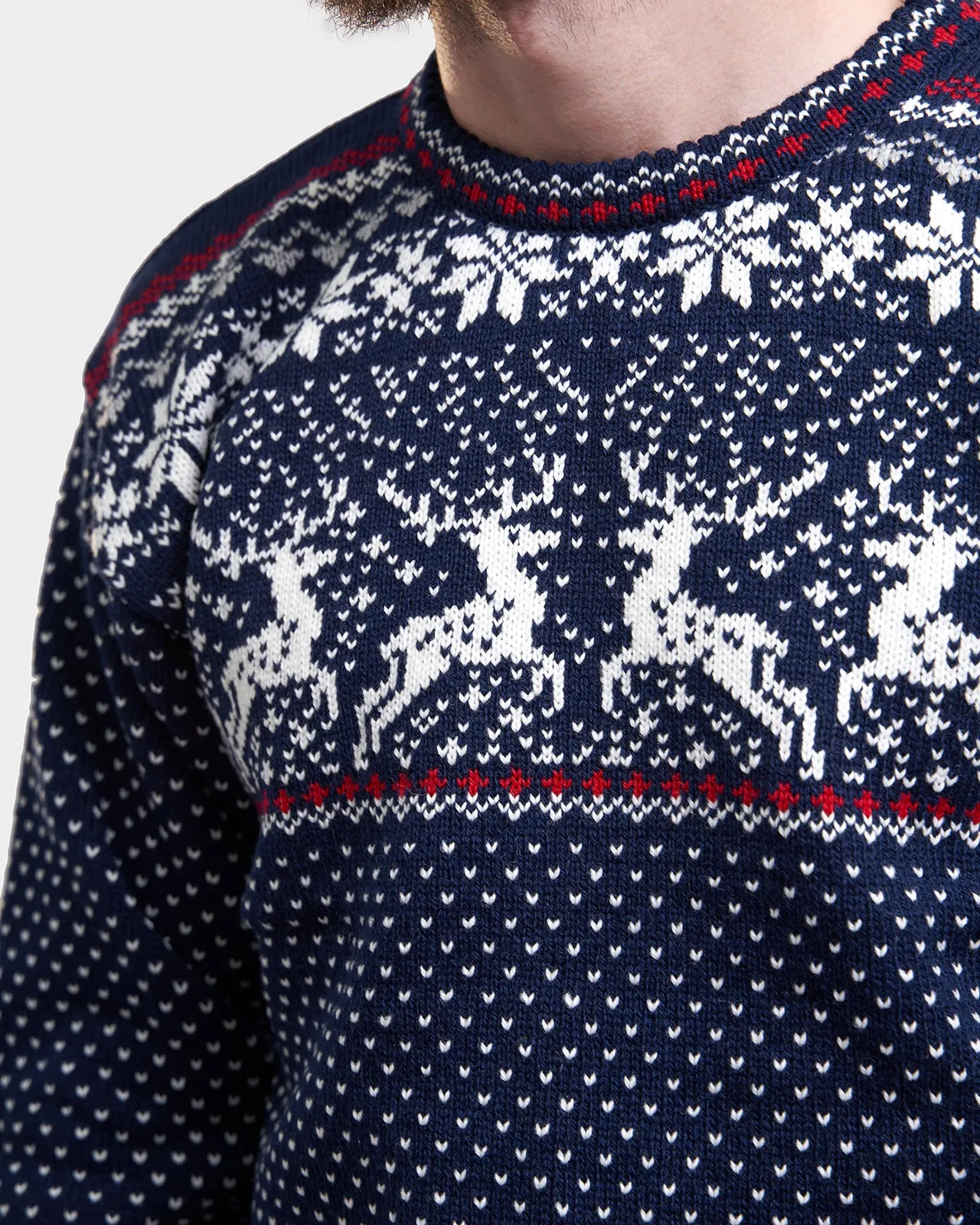 Reindeer men's round neck sweater