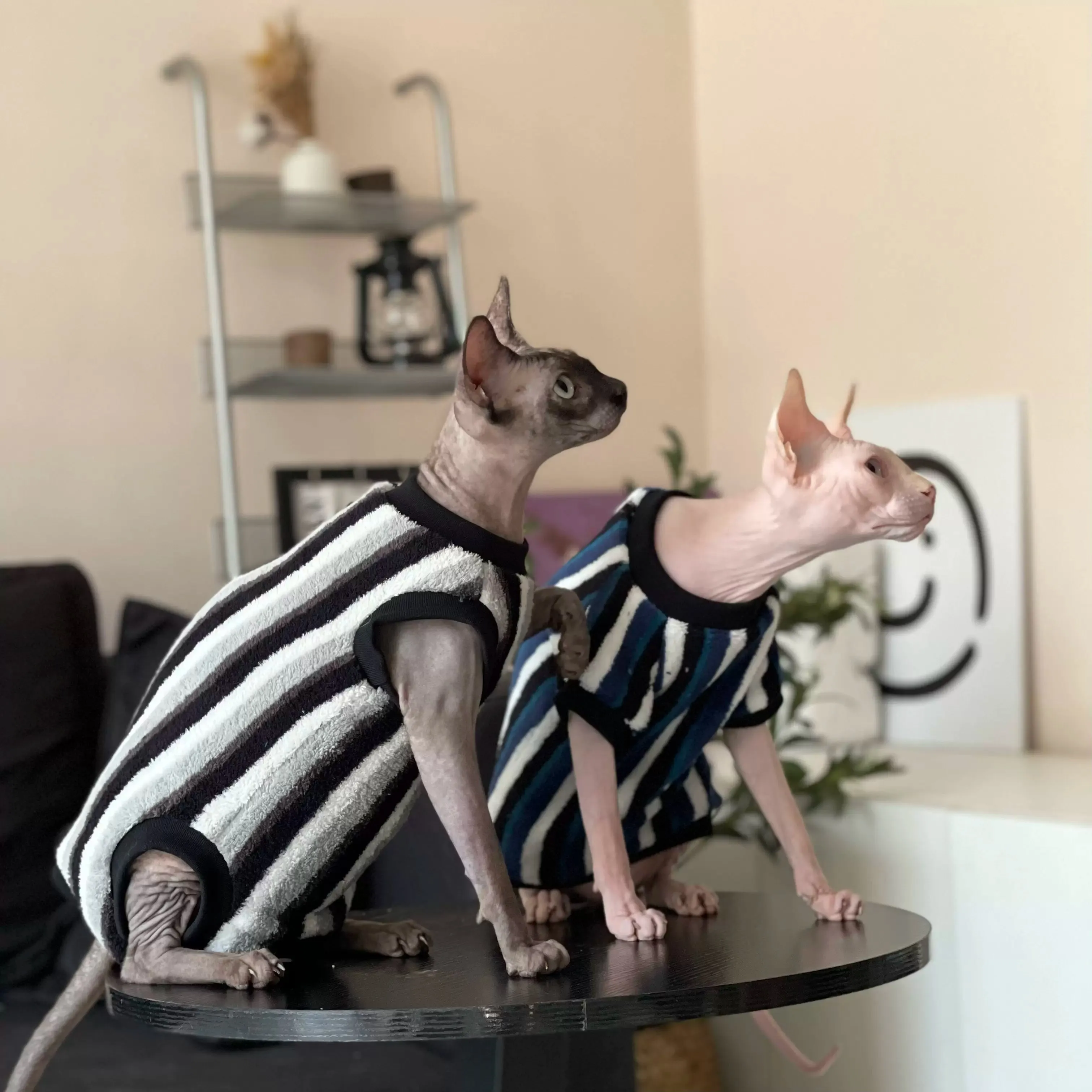 Vertical Striped Flannel Sphynx Cat Onesies and Sweaters