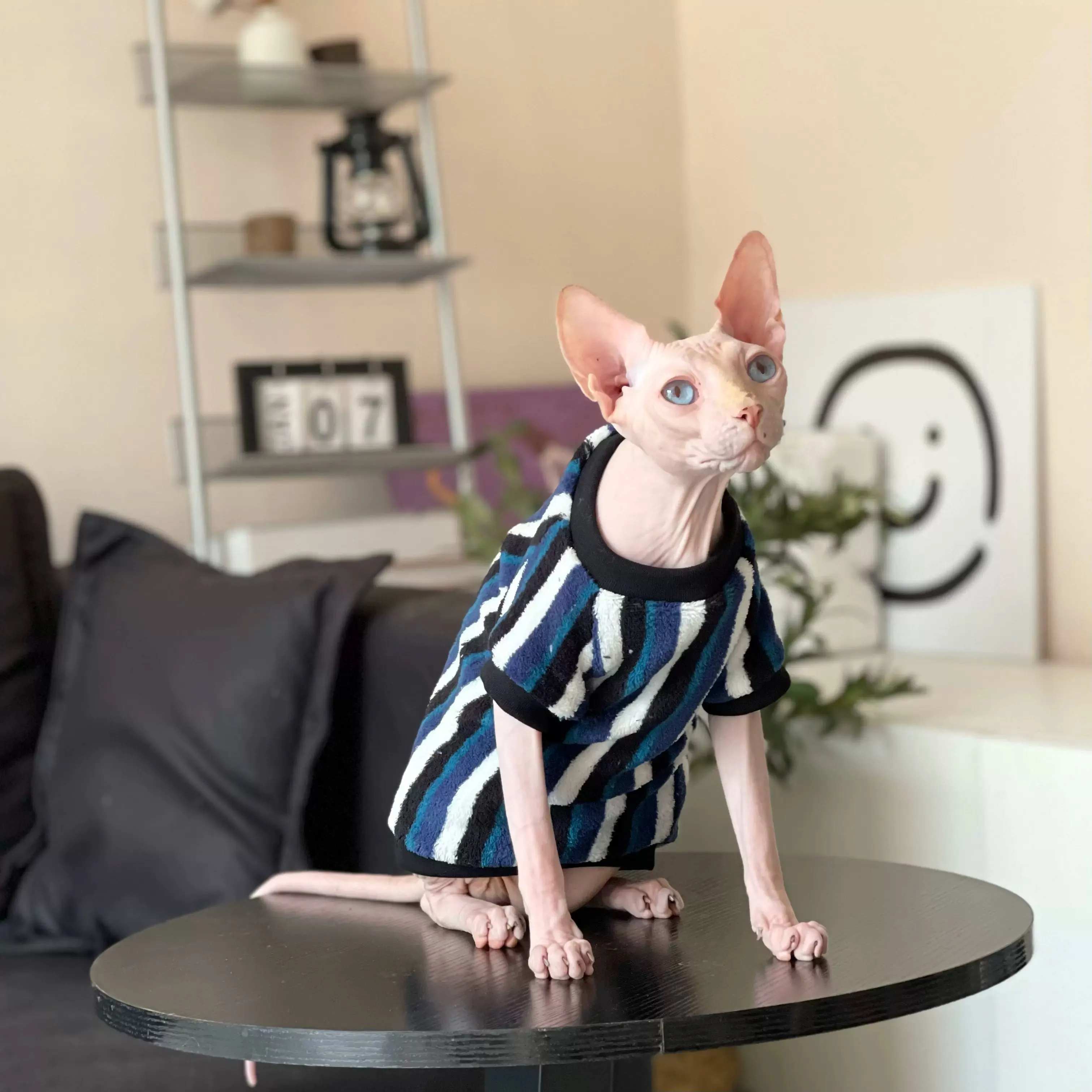 Vertical Striped Flannel Sphynx Cat Onesies and Sweaters